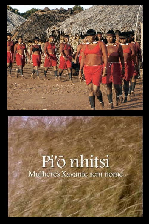 Pi'õnhitsi - Mulheres Xavante sem Nome (2009) poster