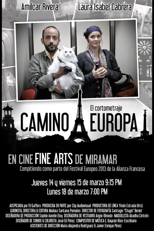 Camino a Europa (2013) poster