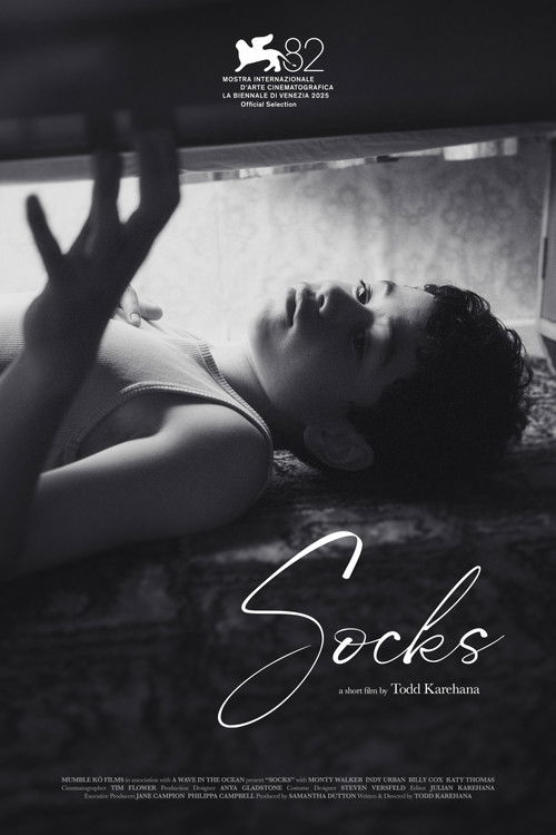Socks poster