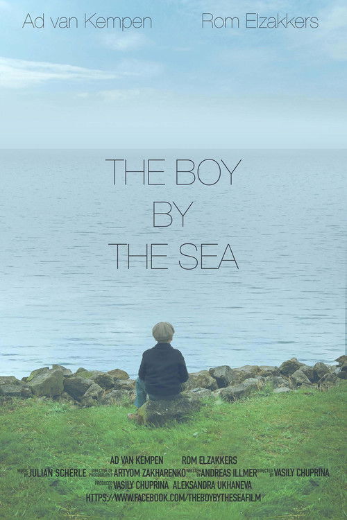 The Boy by the Sea (2016) poster