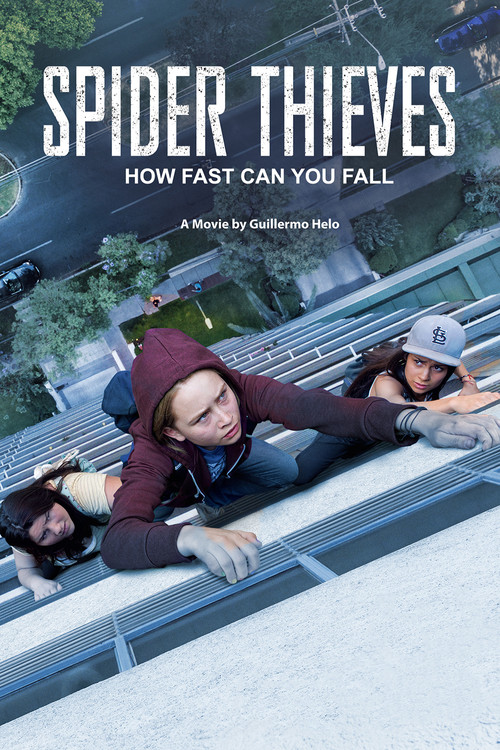 Spider Thieves (2017) poster