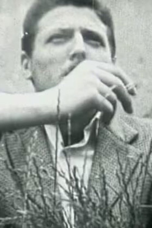 Sunflowers (Prelude, Taenia, Adventure, My Lady) (1961) poster