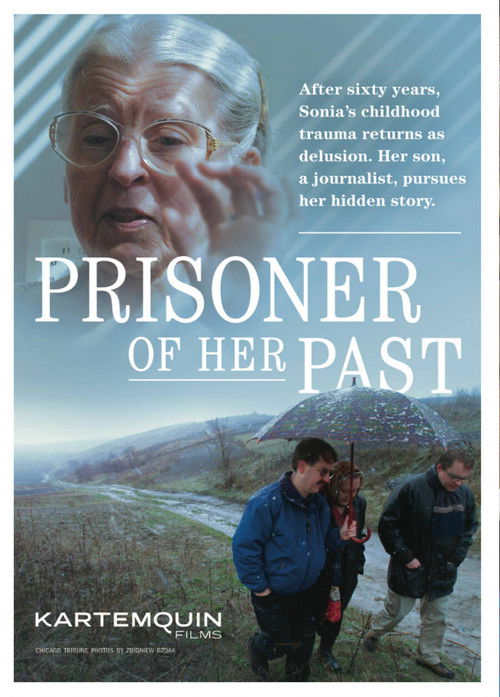 Prisoner of Her Past (2010) poster