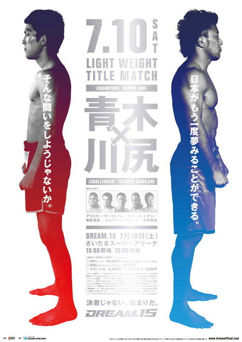 DREAM 15 (2010) poster