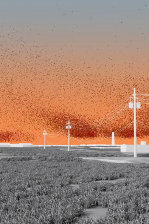 If toxic air is a monument to slavery, how do we take it down? (2021) poster