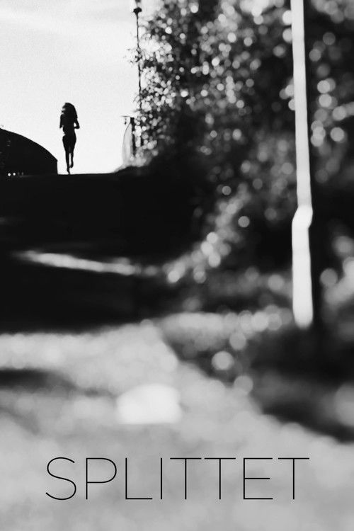 Divided (2016) poster