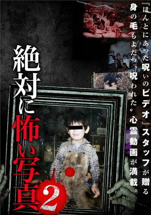 Absolutely Scary Photographs 2 (2012) poster