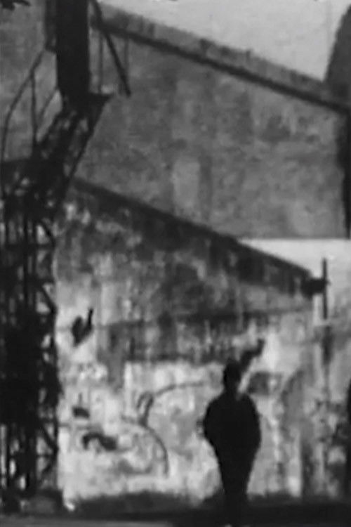 Recordant Buenos Aires (2008) poster