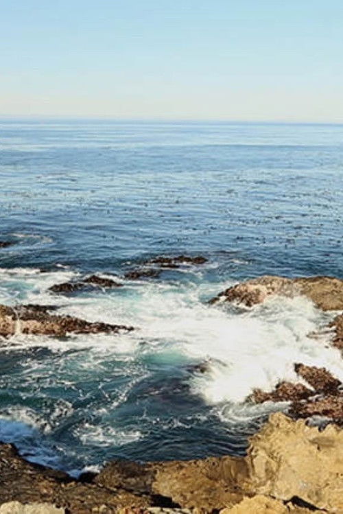 The Source Is a Hole (2017) poster