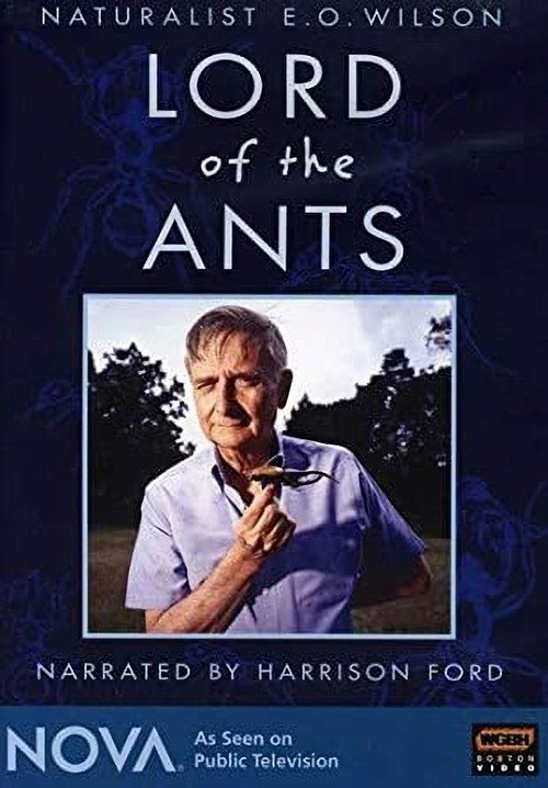 Lord of the Ants (2008) poster