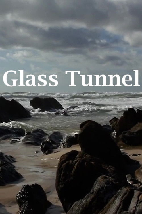 Glass Tunnel (2013) poster