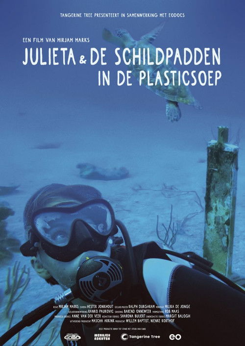 Julieta & the Turtles in the Plastic Soup poster