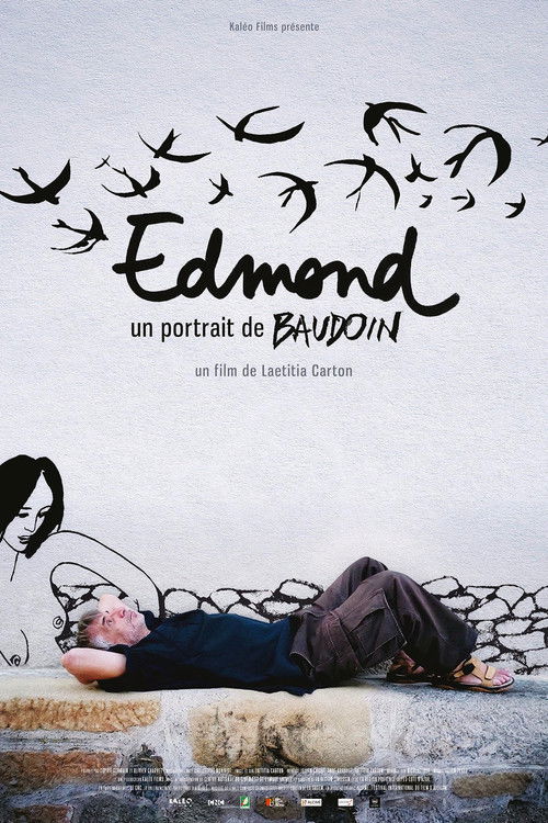 Edmond, un portrait de Baudoin (2015) poster
