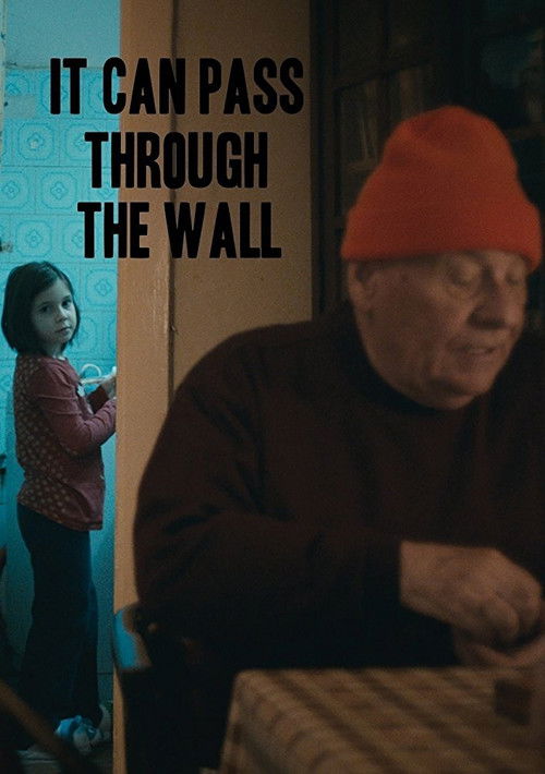 It Can Pass Through the Wall (2014) poster