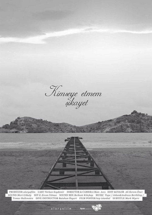 I Am Not to Complain About (2015) poster