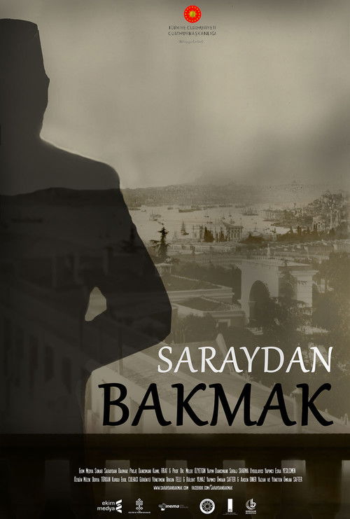 Saraydan Bakmak (2018) poster