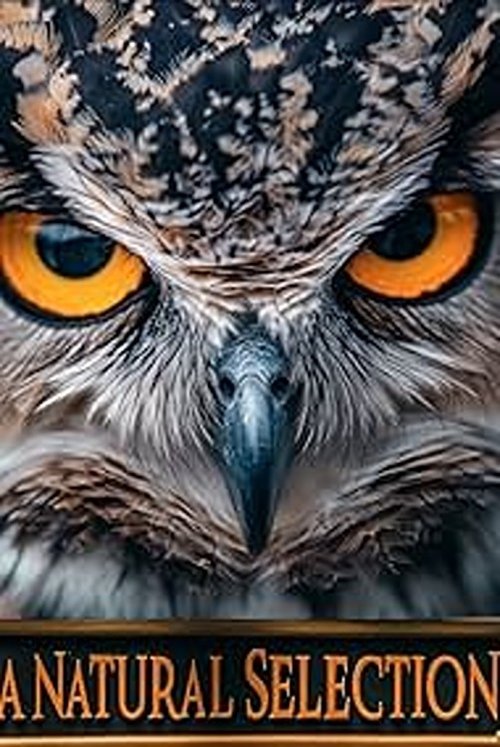 A Natural Selection (2025) poster