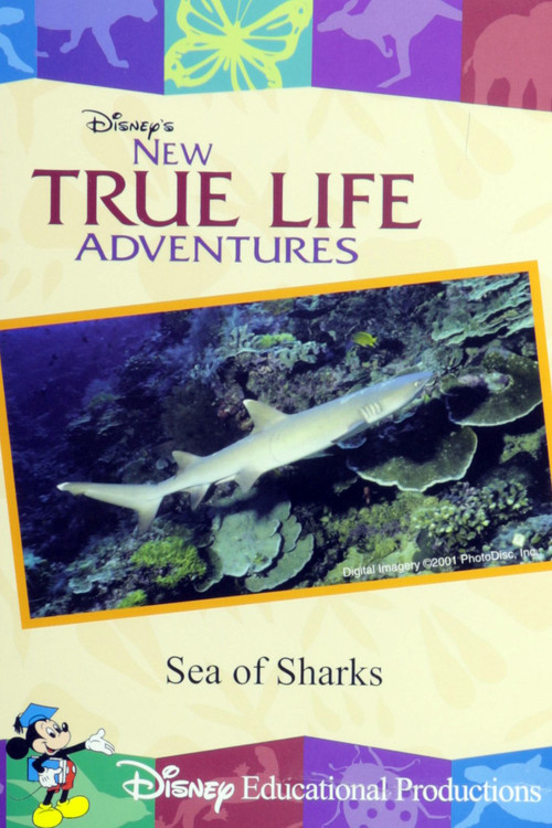 Sea of Sharks (2000) poster