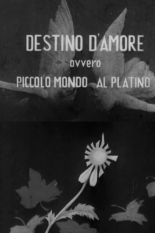 Destino d'amore, ovvero, piccolo mundo al platino (1942) poster