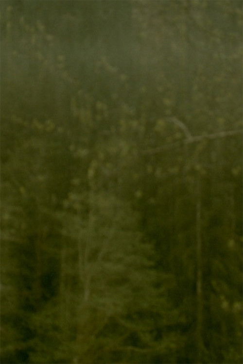 Dreams of Gold (2021) poster