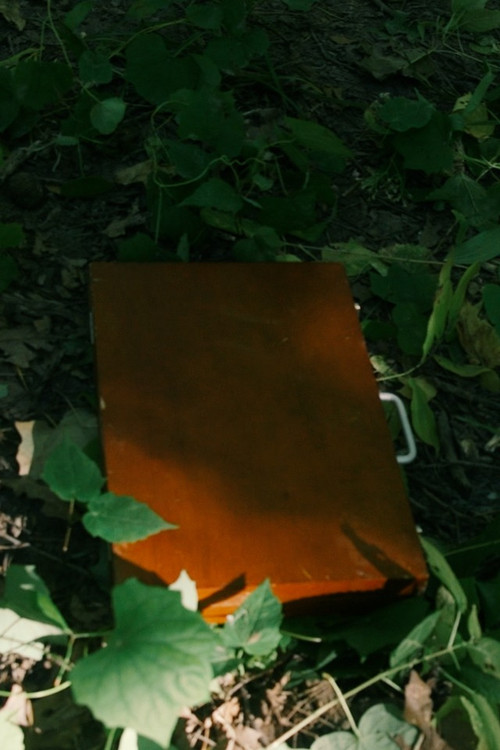 Tradeoff (2022) poster