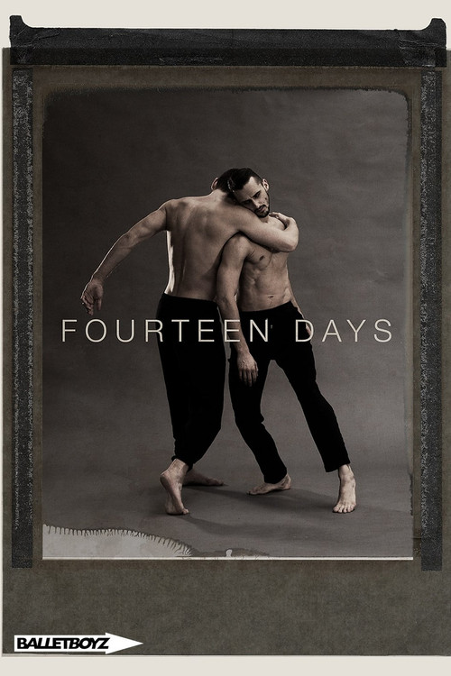 Fourteen Days (2017) poster
