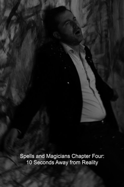 Spells and Magicians Chapter Four: 10 Seconds Away from Reality (2015) poster