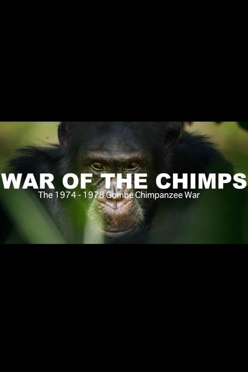 World War Chimp | The Brutal 1974 - 1978 Gombe Chimpanzee War: Documentary (2019) poster