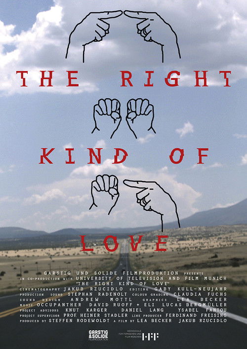The Right Kind of Love (2015) poster