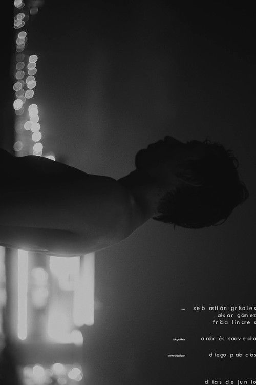 Días de Junio (2025) poster