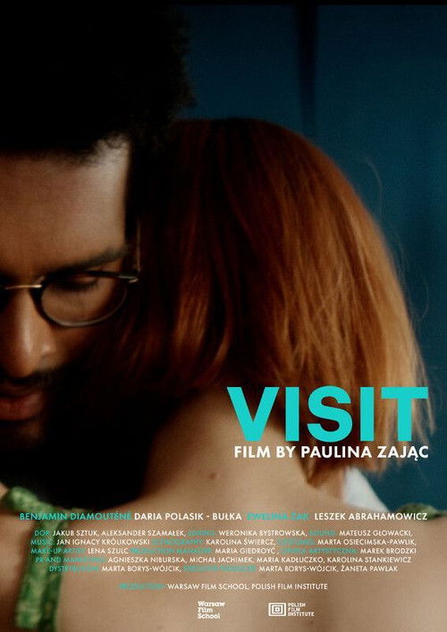 Visit (2024) poster