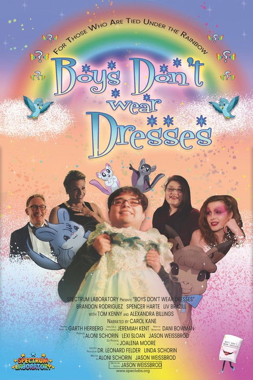 Boys Don't Wear Dresses (2020) poster