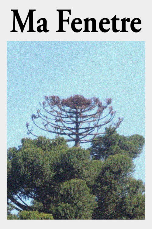 Ma Fenetre poster