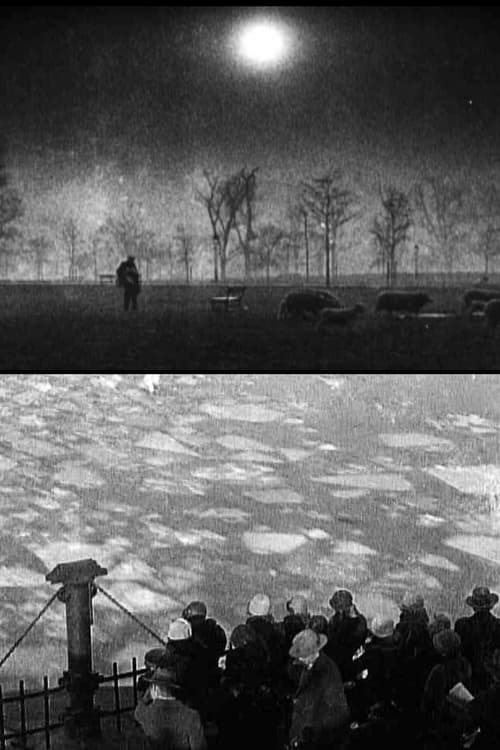 Gotham (2004) poster