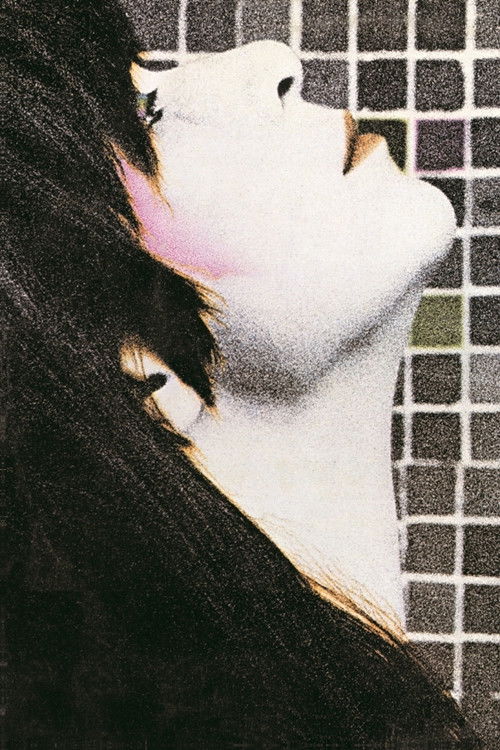 Rita Lee & Roberto de Carvalho: Saúde (1981) poster