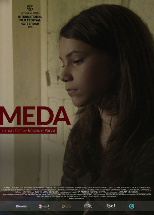 Meda (2016) poster