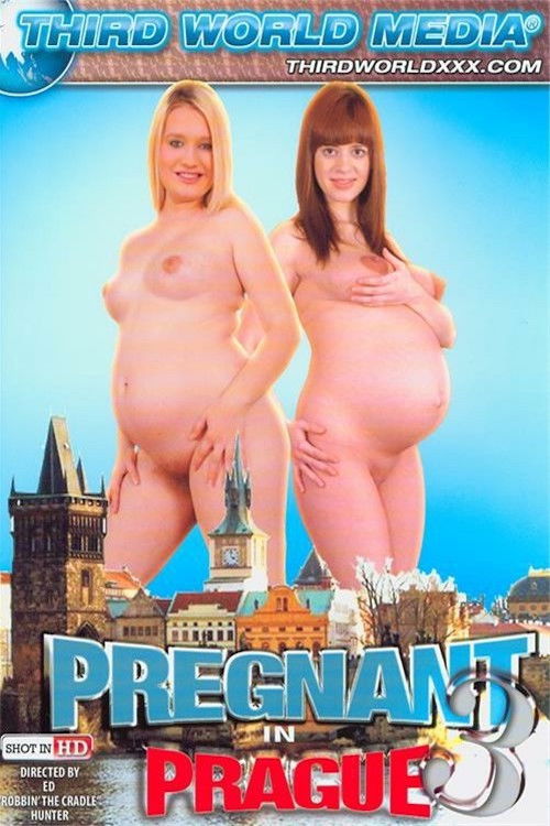 Pregnant In Prague 3 (2014) poster