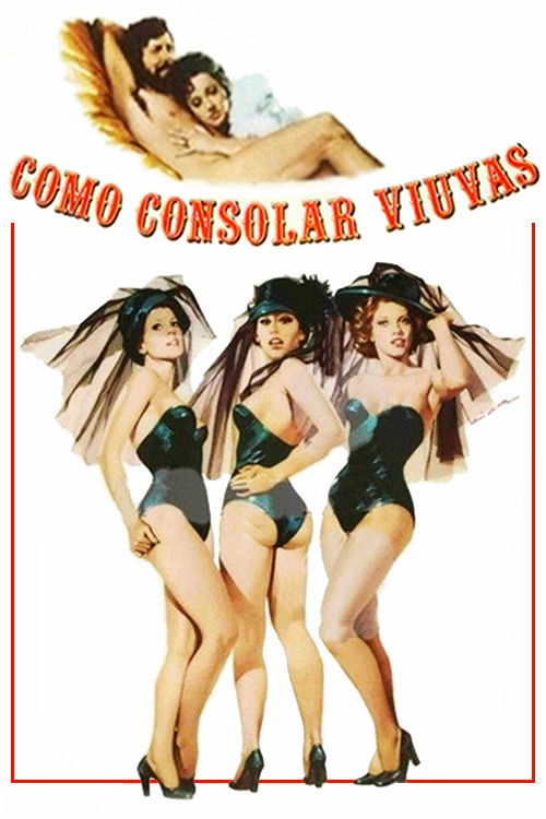 Consoling Widows (1976) poster