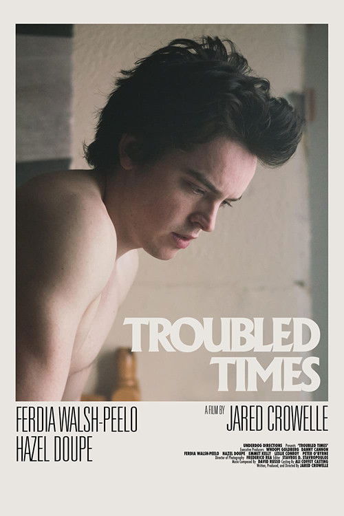 Troubled Times (2020) poster