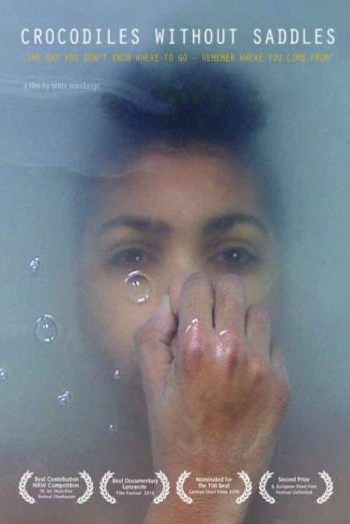 Crocodiles without Saddles (2012) poster