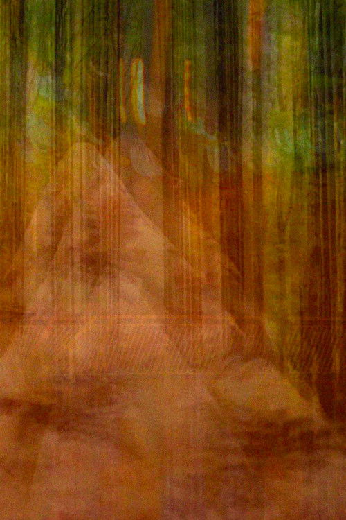 Nett av bortkomne inntrykk (2021) poster