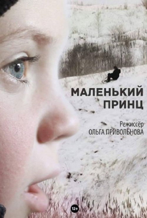 The Little Prince (2015) poster