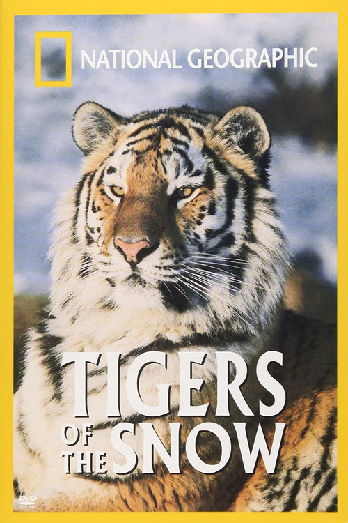Tigers of the Snow (1997) poster