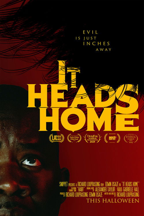 It Heads Home (2023) poster
