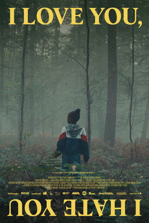 I Love You, I Hate You (2021) poster