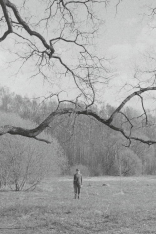 zero/point (2025) poster