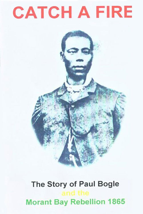 Catch a Fire (1996) poster