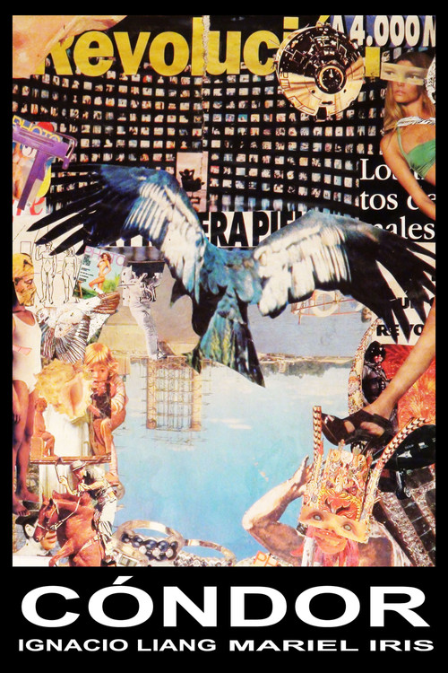 Cóndor (2016) poster