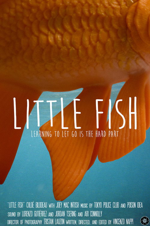 Little Fish (2017) poster