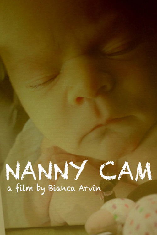 Nanny Cam (2017) poster